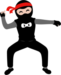NinjaZone confidence icon